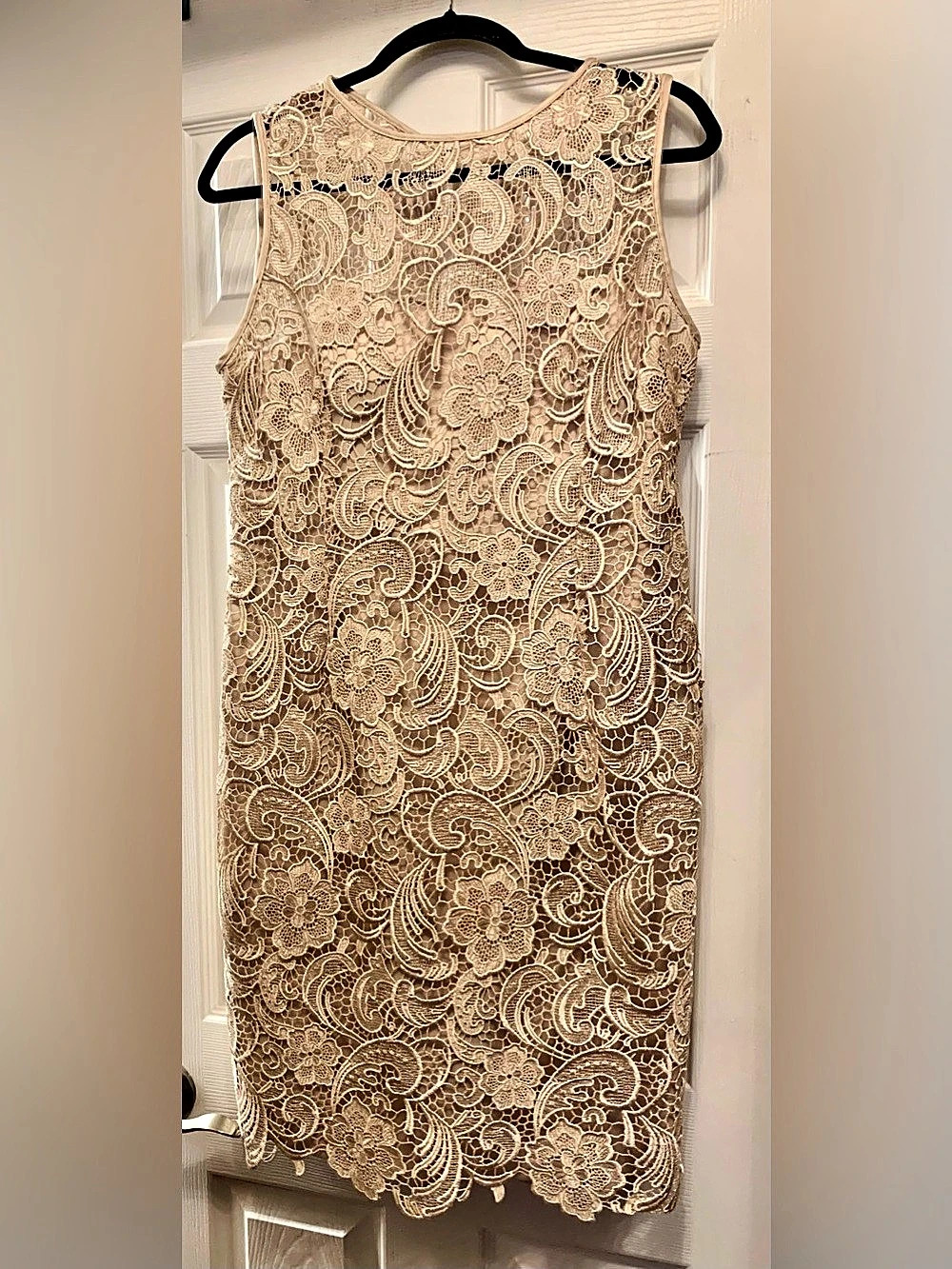 Adrianna Papell gold/champagne floral lace sleeveless sheath dress. Adrianna Pap